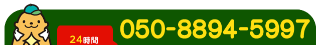 050-8894-5997